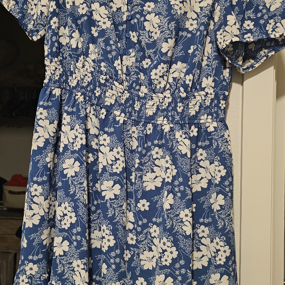 Floral Blue and White Dress